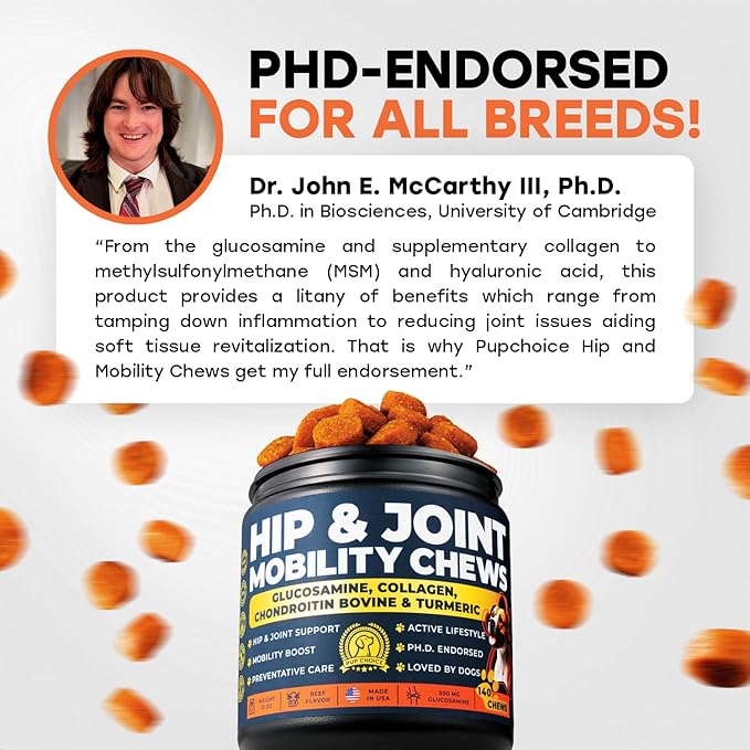 Glucosamine for Dogs 500mg – Hip & Joint Support Treats with Collagen, Chondroitin & Turmeric – PhD Endorsed Formula - Mobility Supplement for Dogs – 140 Chews – Beef Flavor – Made in USA