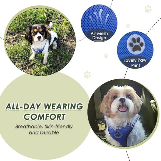 SlowTon Dog Seat Belt Harness for Car, Dog Car Harness Adjustable Mesh Breathable & Dog Seatbelt Safety Tether with Elastic Bungee for Small Medium Large Pets(Blue, Double Clip, M)
