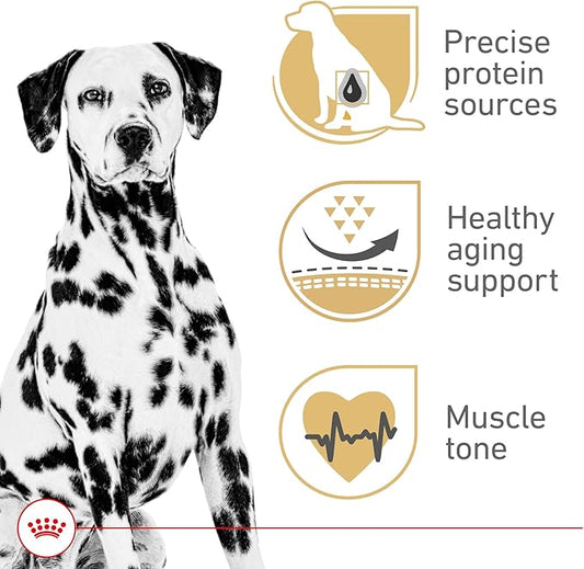 Royal Canin Dalmatian Adult Dry Dog Food, 30 lb bag