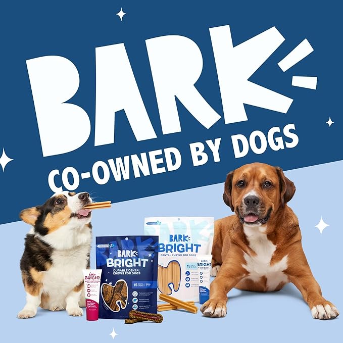 Barkbox Bright Durable Dental Chew Sticks for Dogs - 15 Chews Made for Tough Chewers, Large Breeds