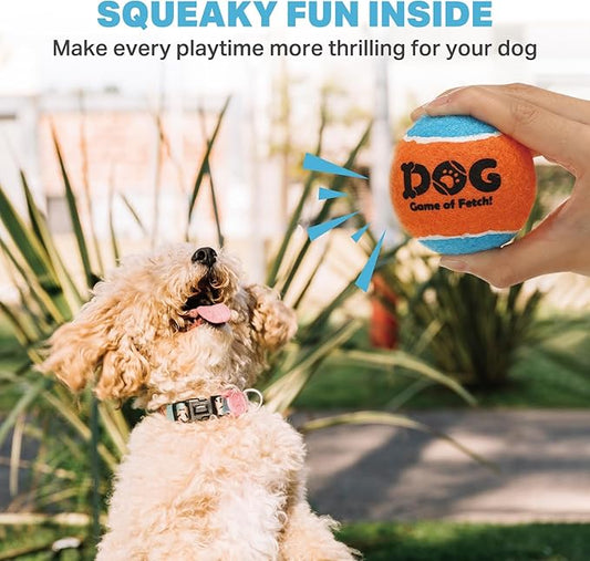 AMA SPORT Squeaky Tennis Balls for Dogs 2.5" Small Medium Dog Tennis Balls for Throwing and Fetching Dog Toys for Training, Exercise, High Bouncing 12 Pack (Multicolor A)