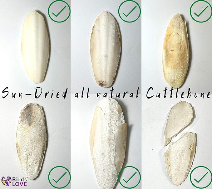 Birds LOVE 2 pc 7.5–8″ Sun-Dried Natural Cuttlebone Kit | 100 % Pure Calcium Supplement for Birds, Tortoises, Snails & Crabs | Beak & Shell Health with Metal Holder