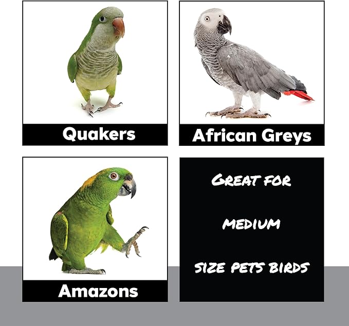 3007 Block Type 7 Chunky Square 3-Pack Wooden Parts for Parrot Cage Toys Cockatoos Macaws Conures Chew Bird Playground Foraging African Grey