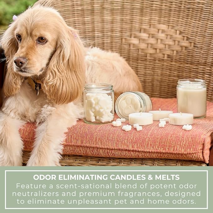 9oz Pet Odor Eliminator Deodorizer Candle, Long-Lasting Unscented, Non Toxic, Scentless Natural Plant-Based Wax Blend