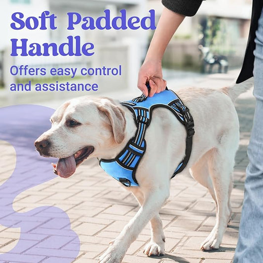 rabbitgoo Dog Harness for Large Dogs, No Pull Pet Harness with Soft Padded Handle, Adjustable Reflective Vest with 3 Buckles, Easy Walking Harness with 2 Leash Clips, Light Blue, L