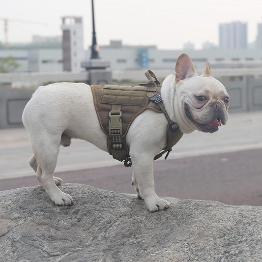 ICEFANG Tactical Dog Harness, Small Size,2X Metal Buckle,Working Dog MOLLE Vest with Handle,No Pulling Front Leash Clip,Hook and Loop Panel (Brown,S (Pack of 1))