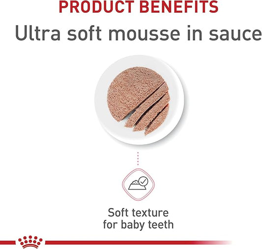 Royal Canin Feline Health Nutrition Mother & Babycat Queen Ultra Soft Mousse in Sauce Cat Food, 5.1 oz (Pack of 24)