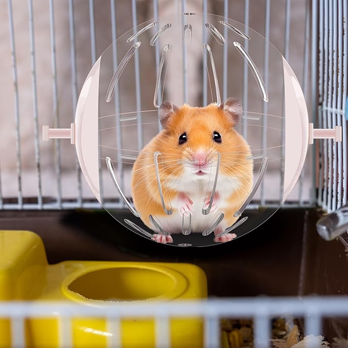 2 Pcs Hamster Exercise Sports Ball Car Running Funny Fitness Wheel Toys with Detachable Transparent Ball 3 Modes Available 11.6x6.5x5 inch for Hamster Small Animal
