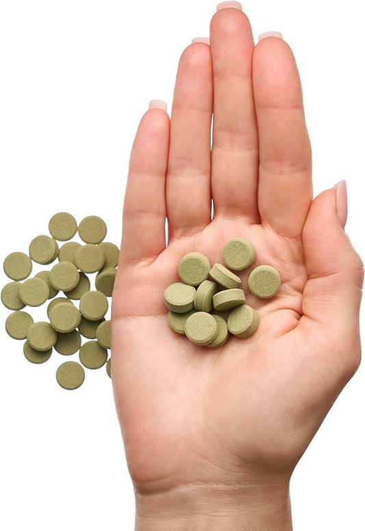 Plecoceramics Algae Wafers Universal Fish Food for Aquarium Fish, Turtles, Goldfish, Catfish - Spirulina Protein Wafers for Bottom Feeders (50 gr)