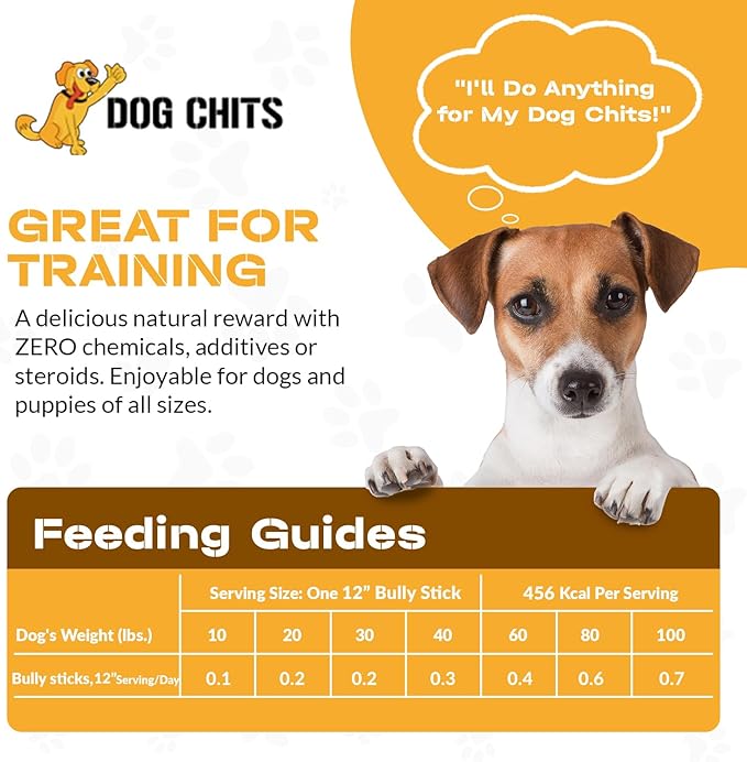 Dog Chits Braided Bully Sticks for Dogs and Puppies | 12-inch, 3 Pack | Natural Healthy Long Lasting Chew for Large and Small Dogs Protein Treats | Odor Free