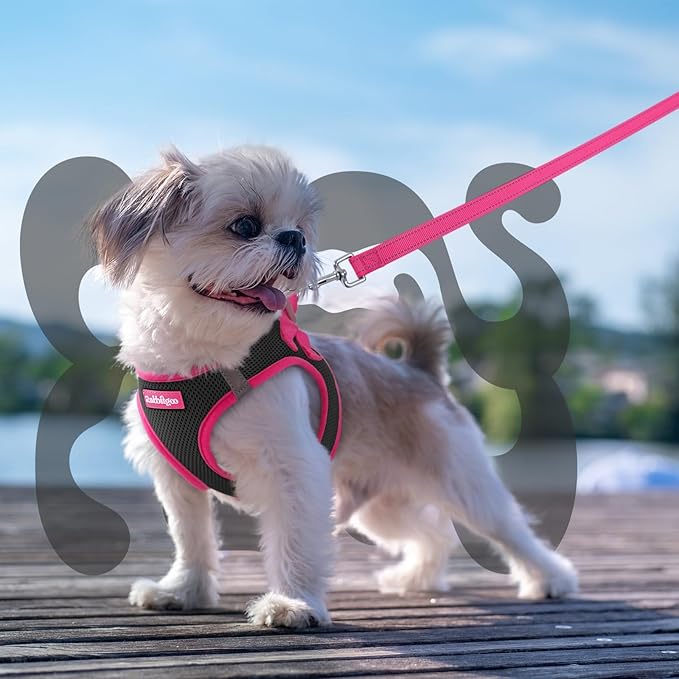 rabbitgoo Dog Harness Small Sized and Leash Set, Step-in Breathable Pet Harness, Soft Walking Reflective Puppy Vest for Small Dogs, Black & Rose Red, S