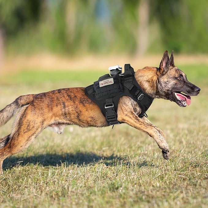 rabbitgoo Tactical Dog Harness for Large, Heavy Duty Pet Harness with Handle, No-Pull Service Vest Large Breed, Adjustable Military Dog Vest for Training Hunting Walking, Black, L