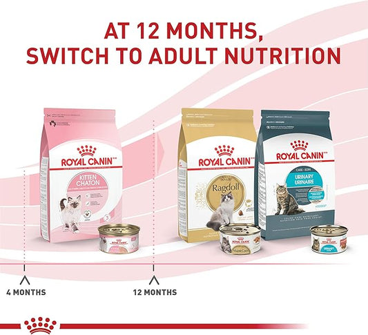 Royal Canin Feline Health Nutrition Kitten Loaf in Sauce Canned Cat Food, 3 oz can (Pack of 24)