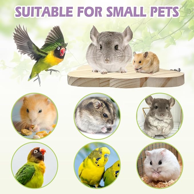 Hamiledyi Wooden Hamster Cage Set 4Pcs Bird Wood Platform Accessories Perch Stand Board Habitat for Syrian Dwarf Hamsters Small Animals