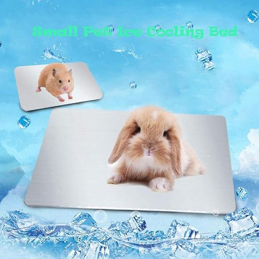 Rabbit Cooling Pad, 12x8 in Self Cooling Mat for Hamster Guinea Pig Chinchilla Bunny Kitten Cat and Other Small Animal, Pet Cool Ice Bed Plate Perfect for Hot Summer
