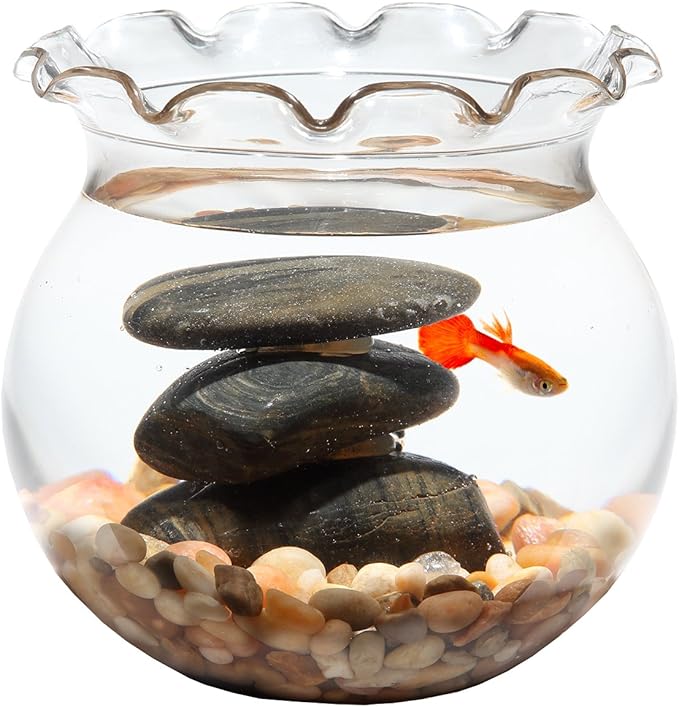 Koller Products 1 Gallon Fish Bowl - Impact-Resistant Plastic