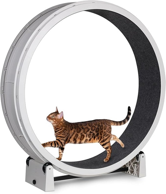 One Fast Cat - Cat Exercise Wheel - Gen. 7 - Safe 48" Diameter - Made in The USA - White Wheel with Black Felt Traction Pads and Solid Black Inline Wheels