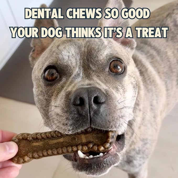 Jiminy's Dental Chews for Dogs, Cinnamon Flavor, Scientifically Proven to Improve Oral Health, Dental Bones Clean Teeth, Fight Bad Breath, and Removes Plaque and Tartar, Small, 20ct (Pack of 1)