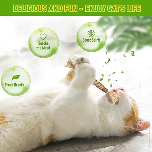1 Pack Silvervine Cat Toy, Silvervines Sticks Cat Toys for Indoor Cats, Cat & Kitten Chew Toys for Aggressive Chewers, Cat Dental Toy for Kitten Teeth Cleaning, Matatabi Silvervine for Cats