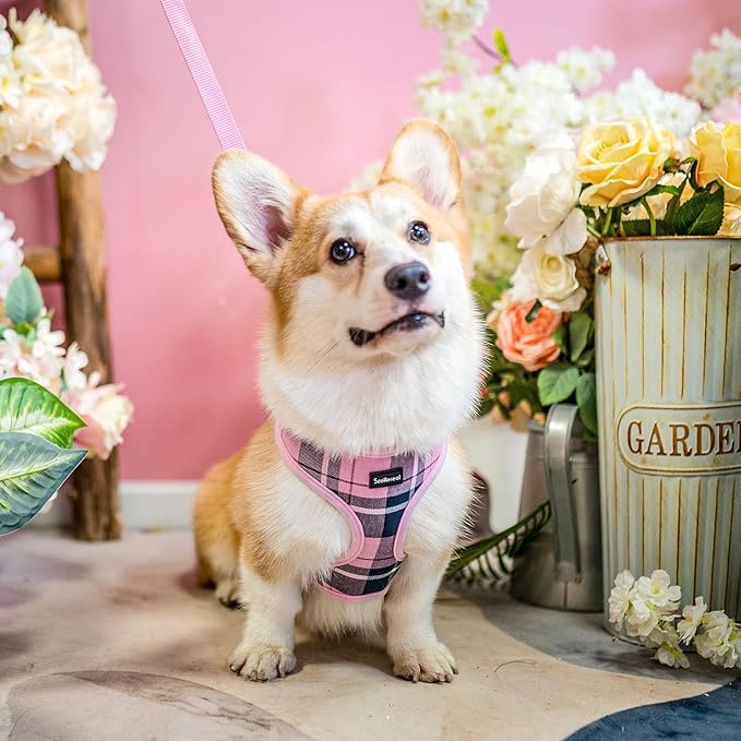 SCENEREAL Puppy Dog Harness with Leash Set for Small Medium Sized Dogs, Soft Mesh Step in Pet Harnesses and Leash, No Chock Plaid Adjustible No Pull Vest for Dogs Cats, Chihuahua,Bulldog (Pink XS)