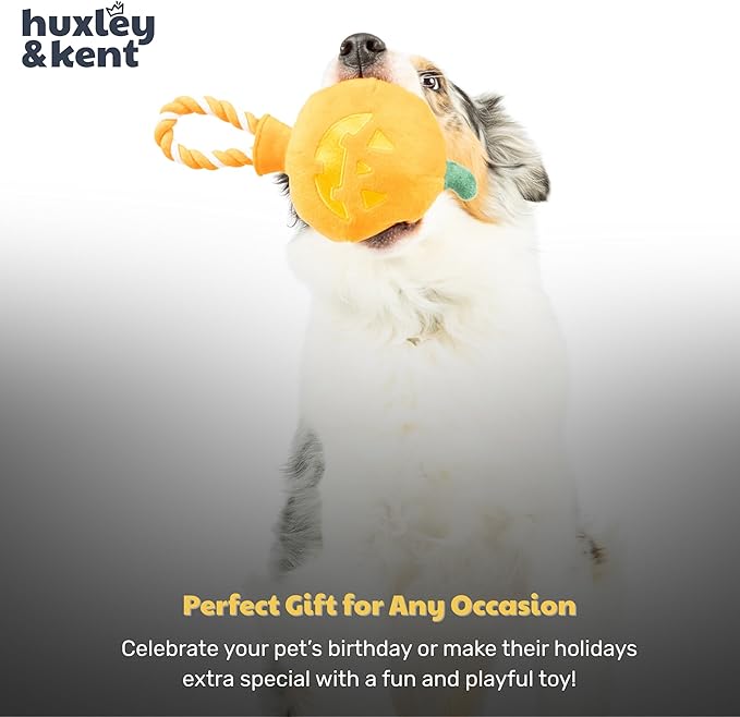 Huxley & Kent Halloween Funny Dog Toy w/Squeaker – Power Plush Squeaky Dog Toys for Small, Medium & Large Dogs – Soft Stuffed Animal for Indoor Play & Fetch - Jack-o-Lantern Safety Pop, One Size