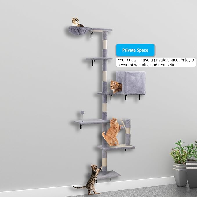 Wall Mounted Cat Climber Set, Modern Cat Furniture with ScratchingPost,Platforms,Dangling Balls,Condo,Suit for Cats Climb, Jump, Nap, Scratch-Gray