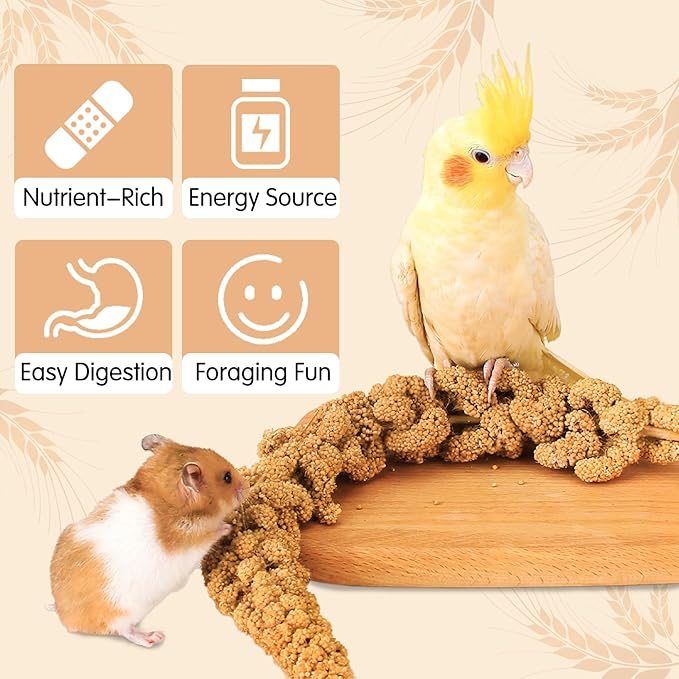 Fhiny Natural Hamster Bedding, Edible Hamster Sprays Flowers & Herbs Gerbil Habitat Enclosure Decor Grain Treats Cage Accessories for Dwarf Syrian Hamster Gerbil Mice Lemming Degus