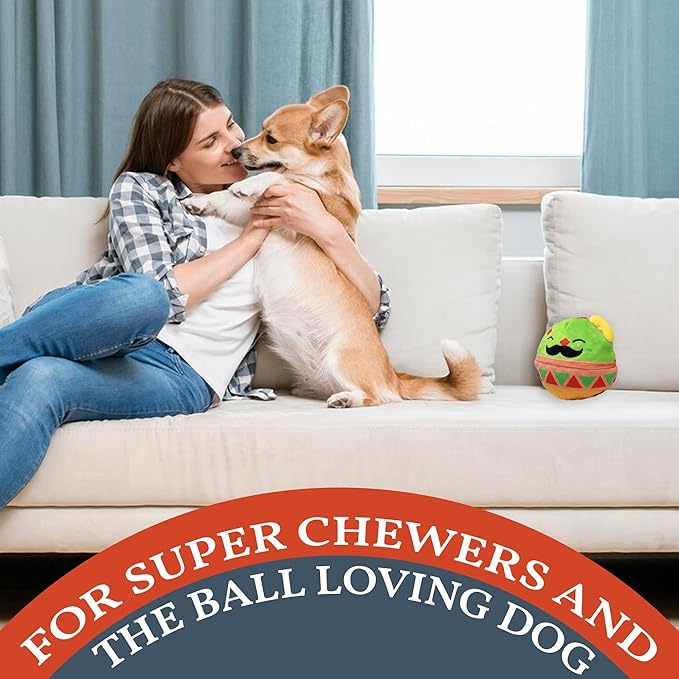 Flourish Pets 2 in 1 Multi-Layer Chew Toy for Active Dogs | Non-Toxic BPA Free Double Stitched Soft Fabric Exterior Dog Toys | Long-Lasting Dog Plush Toys โ Mr. Guac 3.5"