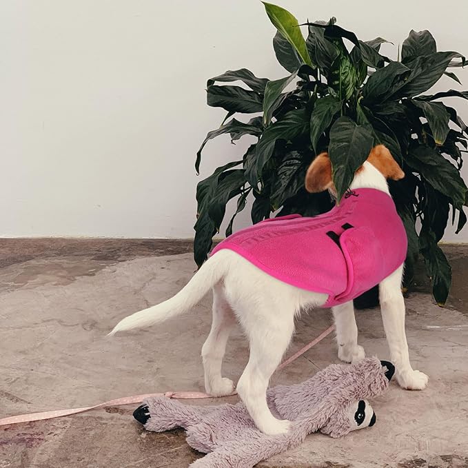 Queenmore Large Dog Sweater, Soft Fleece Vest Pullover Dog Jacket with Leash Hole, Warm Winter Dog Clothes Cold Weather Doggy Dachshund Sweaters for Large Dogs Cats Boy or Girl (Pink, L)