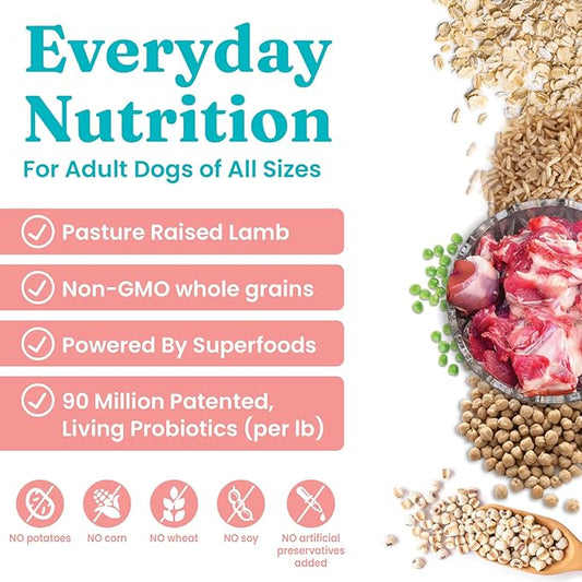 Solid Gold Lamb Dog Food Dry for Adult & Senior Dogs– High Protein Healthy Dog Kibble for Medium & Large Breeds – Whole Grain, Omega 3 & Digestive Probiotics for Gut Health & Everyday Nutrition – 4 LB