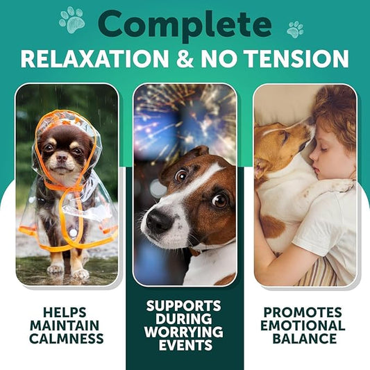 Hemp Calming Chews for Dogs - Dog Calming Chews - Dog Anxiety Relief Treats with Hemp Oil, Turmeric, Valerian, Ginger - Health and Wellness Supplements for Dogs - Hip and Joint Support - 70 Treats