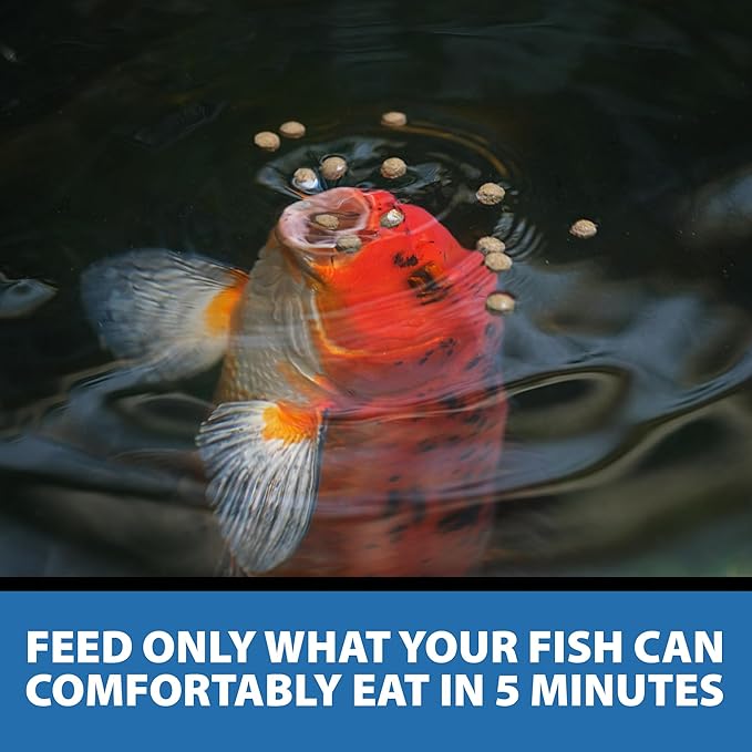 CrystalClear Staple Pond Fish Food for Healthy Koi & Goldfish, Protein Packed Floating Pellets for Summer Nutrition, Easy Digestion, 17.6 Pound Bucket