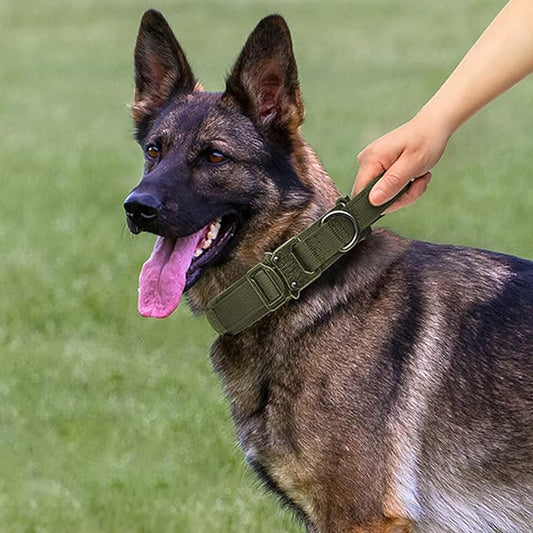Tactical Dog Collar and Leash Set Heavy Duty Military Dog Collar with Handle and Metal Buckle for Medium and Large Dogs (Army Green, XL)