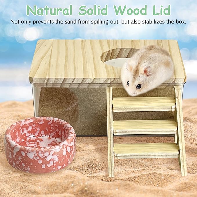 kathson Hamster Sand Bath Box Transparent Acrylic Small Syrian Hamster Shower Bathtub Small Gerbil Digging Sand Container with Climbing Ladder and Ceramic Bowl Cage Accessories for Lemmings Mice