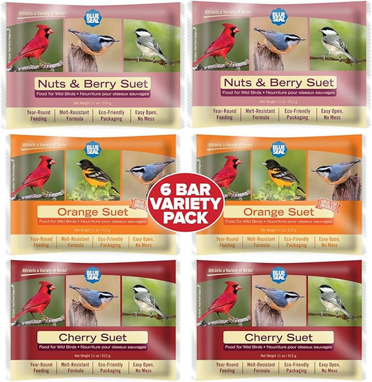 Blue Seal Berry Blend Suet Cakes for Wild Birds - No Mess Suet Feed, Food for Woodpeckers, Cardinals, Siskins, Sparrows & More - 11oz Suet Feeder, Bird Seed Cakes (Variety Pack of 6)