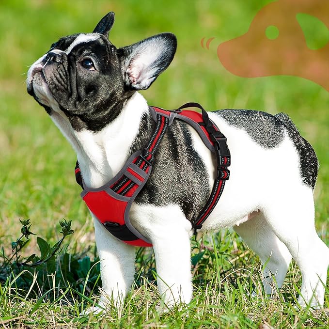 Eagloo Dog Harness for Small Dogs, No Pull Adjustable Service Vest with Control Handle,Red, S