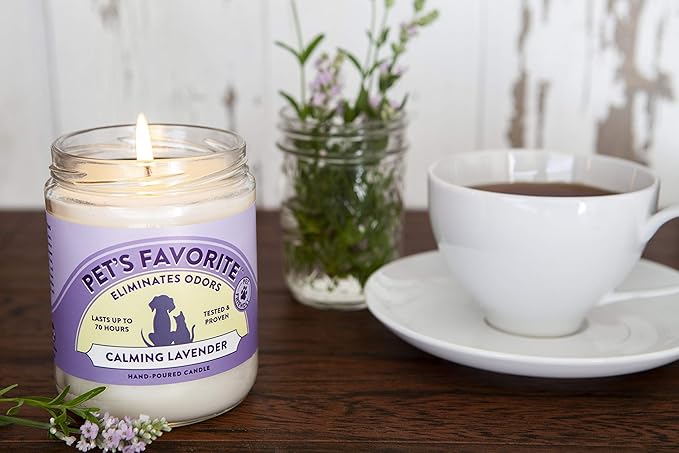 Pet's Favorite Pet Odor Candle, Clean Burning, Long Lasting Scented Candles with a Cotton Wick. (Calming Lavender, Pack of 1)