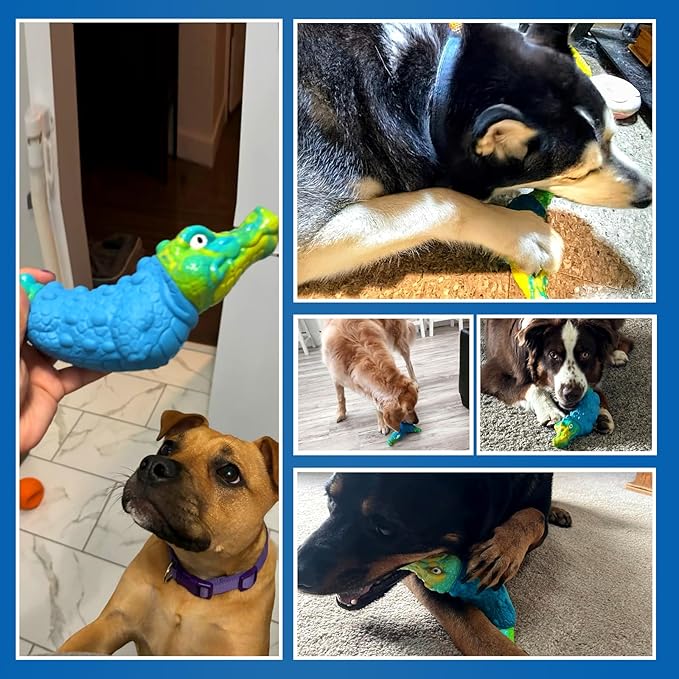 Dog Toys for Aggressive Chewers - Indestructible Dog Toy Squeaky Chew Toys for Large and Medium Breeds to Keep Them Busy, Bacon Flavor (Azure Blue)