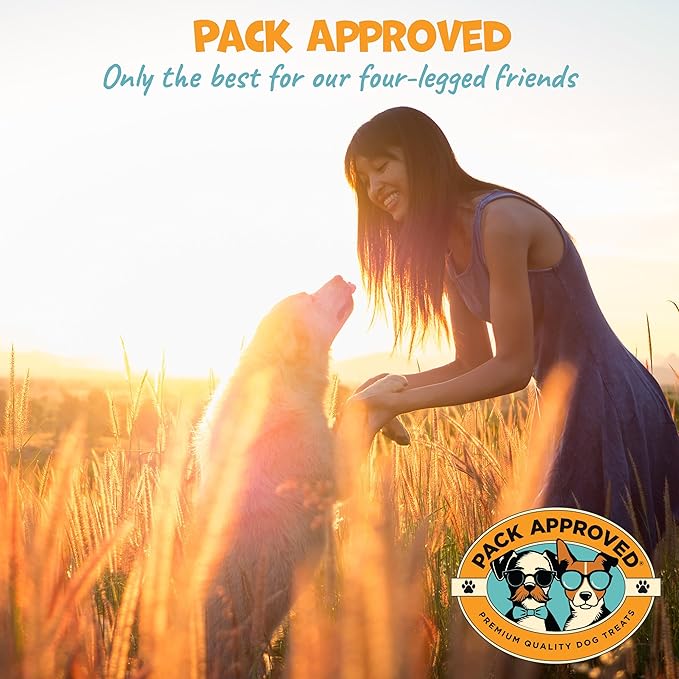 Mini Chicken Sticks for Dogs - Natural, Dehydrated Chicken Jerky Treats, Single Ingredient. Made and Sourced in America - Crunchy Chew Sticks - 3oz