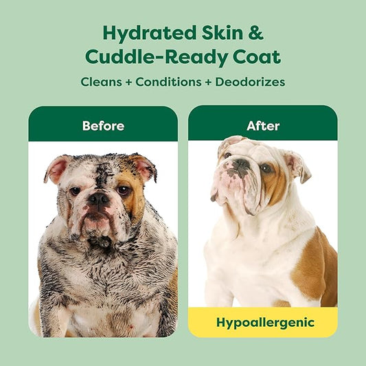 Earth Rated 3-in-1 Soothing Dog Shampoo and Conditioner, Deodorizing Oatmeal Shampoos for Dogs and Puppies, Great for Smelly Pets, White Tea and Basil Scent, 16 oz