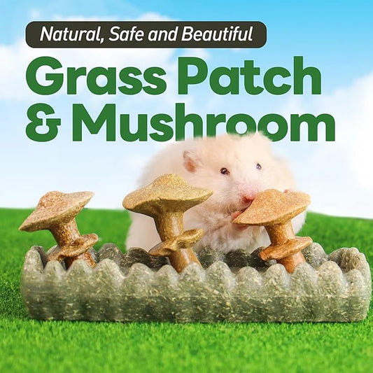 TEEWY 4PCS Guinea Pig Chew Toys, Prevent Teeth Overgrowth, Natural Timothy Grass & Vegetables, Hamster Chew Toys, Guinea Pig Toys, Chinchilla Toys, Grass Patch & Mushrooms