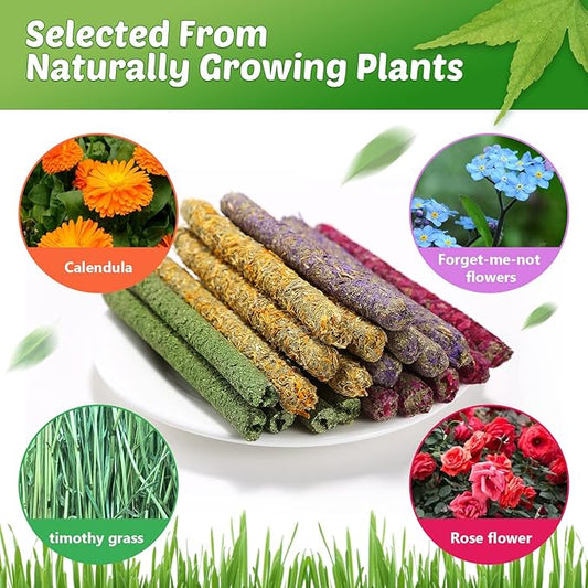 Rabbit Chew Toys for Teeth, Timothy Grass Carrot Sticks for Guinea Pig Hamster Chinchilla Squirrel Bunny Small Rodent Animals (40 pcs)