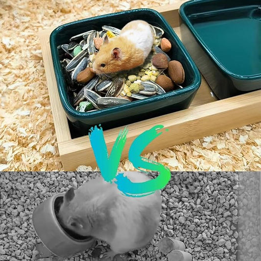 Hamster Food Bowl, Hamster Feeding & Water Bowls, Small Animals Ceramic Food Water Bowl Prevent Tipping for Dwarf Syrian Hamsters Bunny Gerbils Rats or Other Similar-Sized Small Pets (Green)