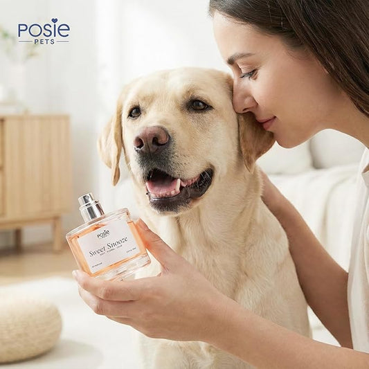 Dog Cologne Spray with Long Lasting Jasmine, Musk, and Vanilla Scent - Vegan Alcohol-Free Pet Deodorizer for Smelly Dogs - Water-Based Luxury Puppy Grooming Fragrance - Sweet Snooze, 100ml