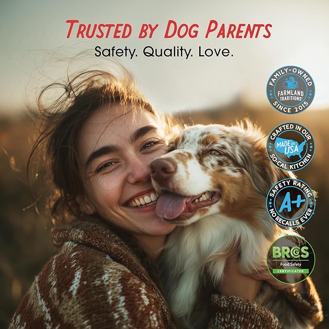 Farmland Traditions Dogs Love Chicken Jerky Dog Treats, Premium Two-Ingredient Dog Jerky with USA-Raised, Human-Grade Chicken & No Antibiotics Ever, 1-Pound Bag (Pack of 2)