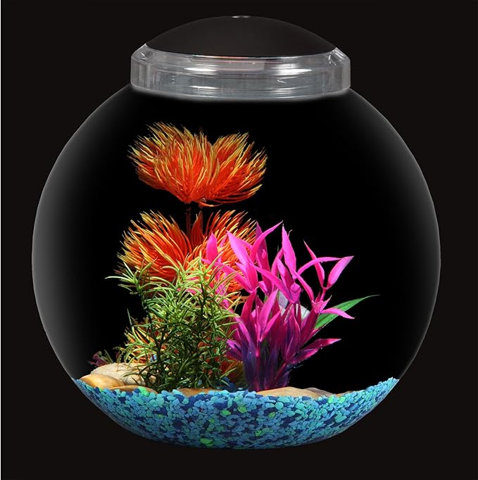 Koller Products 3-Gallon Globe Fish Bowl, Impact- Resistant Plastic Fish Tank with LED Lighting, Crystal-Clear Clarity, Desktop Aquarium Tank for Betta Nano Goldfish Peacockfish Zebrafish, Home Décor