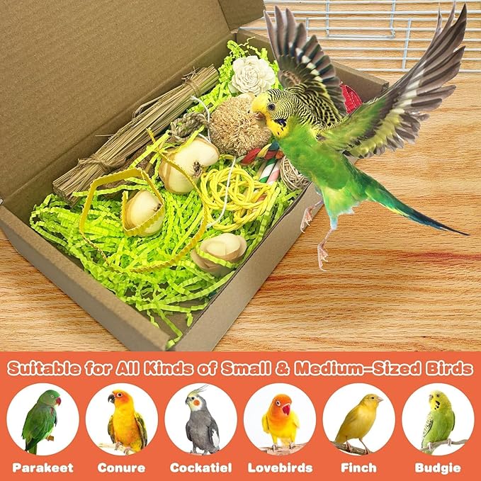PINVNBY Bird Toys Natural Bird Foraging Interactive Parrot Shredding Box and Chewing Toy for Conure Parakeet Budgie Cockatiel Lovebird Small-Medium Birds (Medium)