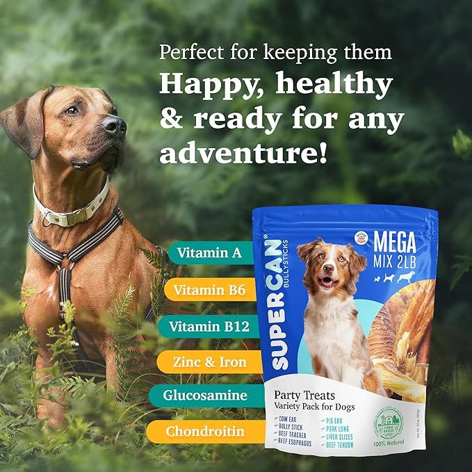 Supercan Mega Mix (2lb/32oz) Bargain Bag Treats for Dogs, All-Natural Premium Hand Selected Chews for Puppy/Large/Medium/Senior Dogs, Healthy & Natural Source of Vitamin A, B6, B12, Protein SUPERFOOD