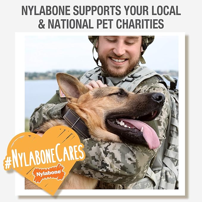 Nylabone Original Bone Power Chew Toy for Dogs, Durable & Tough Dog Toys for Aggressive Chewers, Original Flavor, Small - Up to 25 Ibs, 1 Count