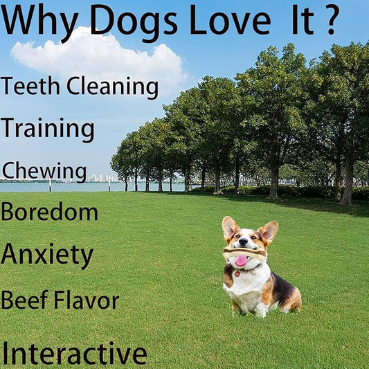 Bone Chew Toys for Aggressive Chewers, 3 Pack Real Beef Flavor, Indestructible Dog Teething Toys for Medium/Large/Small Breed, Durable Nylon Tough Dog Toy